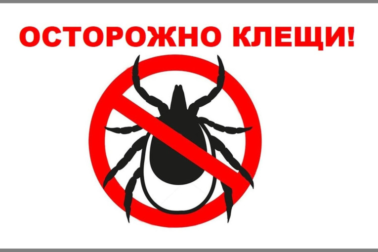 Осторожно, клещи! Осторожно, клещи!.
