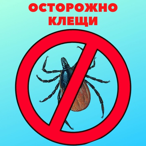 О мерах профилактики клещевых инфекций О мерах профилактики клещевых инфекций.
