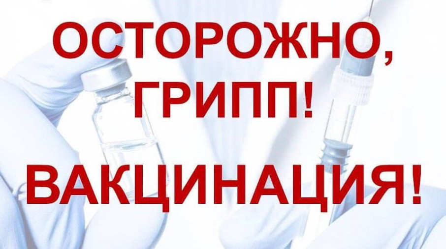 Памятка по вакцинопрофилактики против гриппа Памятка по вакцинопрофилактики против гриппа.